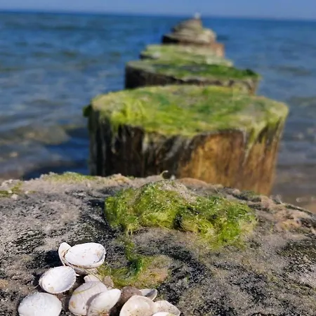 Grandial Władysławowo