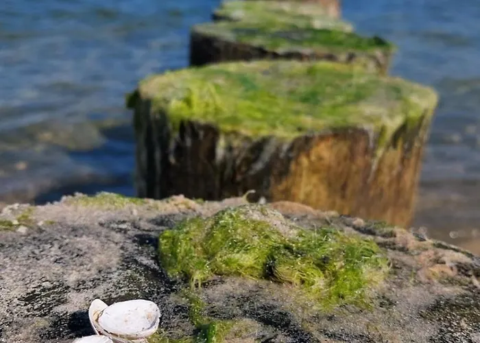 Grandial Władysławowo